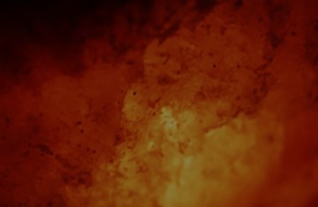 Fiery pitta background