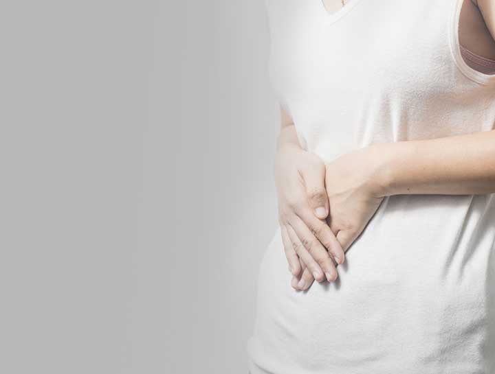 Digestion