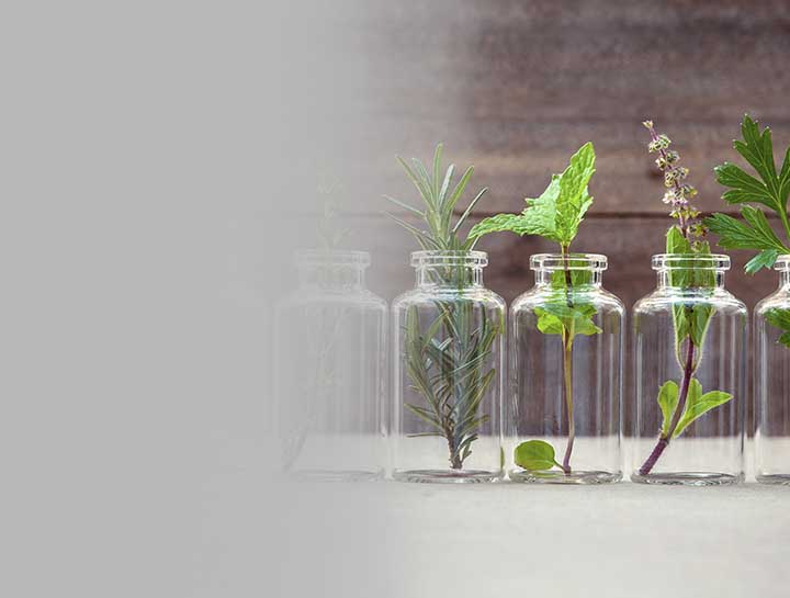 Plant Extracts