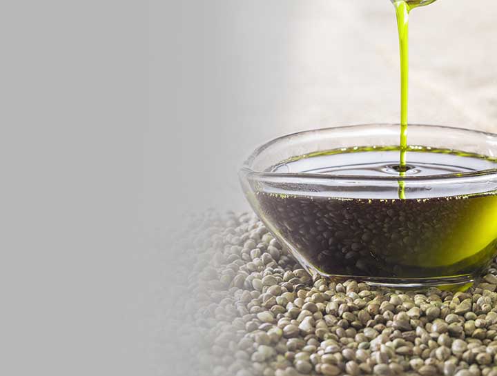 Plant Sterols