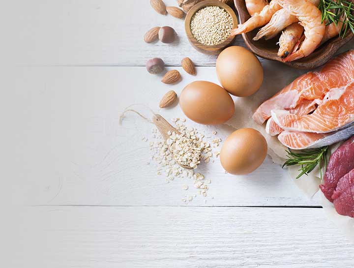 Protein