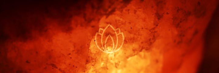 Fire background with pitta logo
