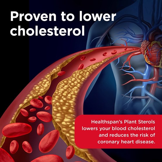 Plant Sterols 