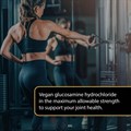 Elite Joint Physio Glucosamine HCl 1325mg 