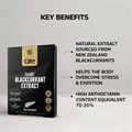 Elite All Blacks CurraNZ Blackcurrant Extract 