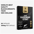 Elite All Blacks CurraNZ Blackcurrant Extract 